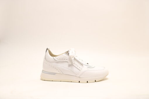 DL Sport 6523 Wit sneaker